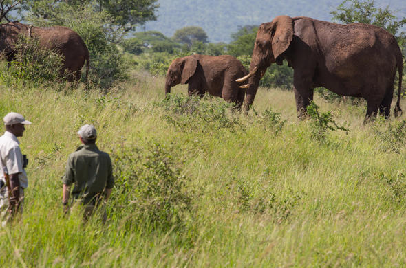 Southern Tanzania Safaris: Walking tour & Boat Tour