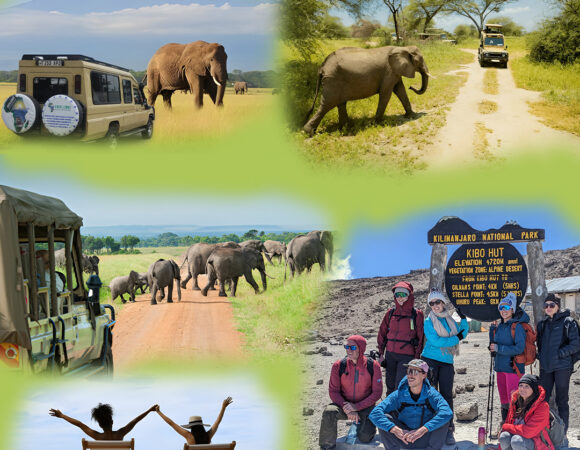 Superior Tanzania Travel Agency - Travel with Excellence Africa Adventures