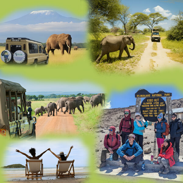 Superior Tanzania Travel Agency - Travel with Excellence Africa Adventures