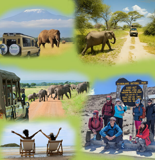 Best Modern Tanzania tour company for 2025-2050