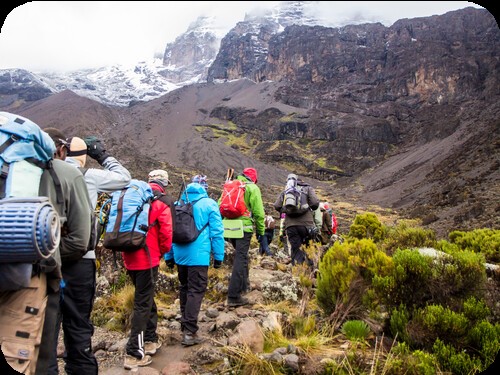 Kilimanjaro Climbing | Tanzania Safari from Switzerland.