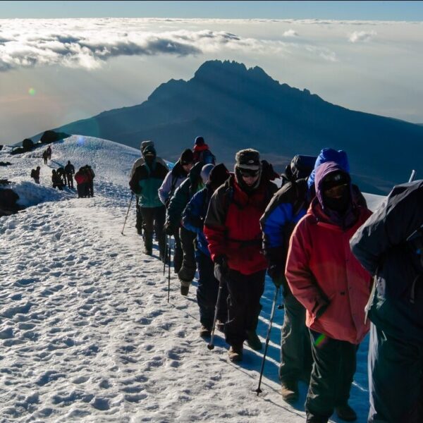 6 Day Kilimanjaro climb with professional guides from Moshi/ Arusha or JRO Airpot