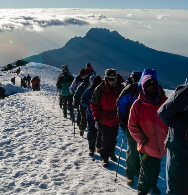 5- 8 DAY KILIMANJARO CLIMBING FROM MOSHI or KILIMANJARO AIRPORT