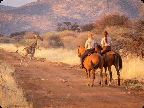 TANZANIA SAFARI TOUR + ZANZIBAR BEACH TOUR FROM JRO/ ZNZ AIRPORT