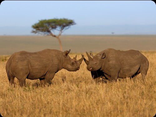 3 Day Small group adventure travel in Tanzania