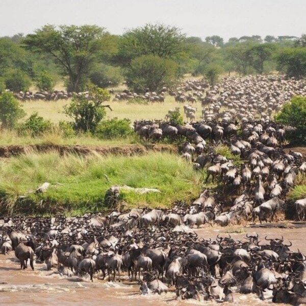 Best Tanzania Travel Destinations & Safari Packages
