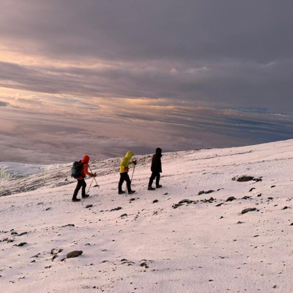 Mount Kilimanjaro National Park Expedition