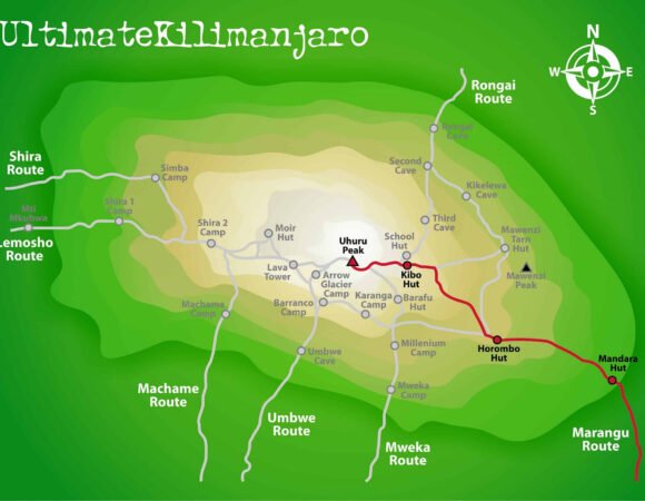 BEST LOCAL NATIVE TOUR COMPANY IN TANZANIA