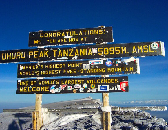 莫希、阿鲁沙和桑给巴尔的坦桑尼亚顶级 Safari 与乞力马扎罗登山专家