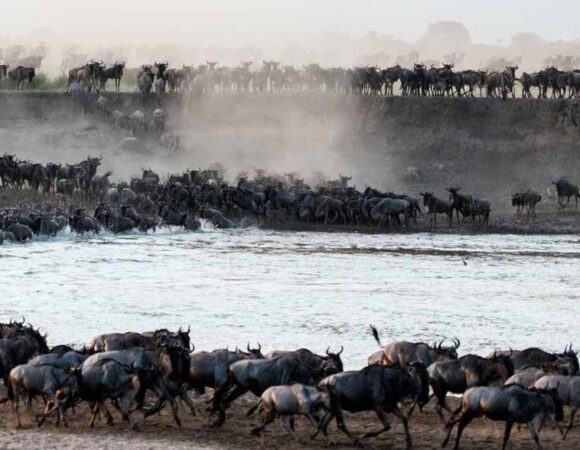 BEST SAFARI PACKAGES IN TANZANIA DESTINATIONS