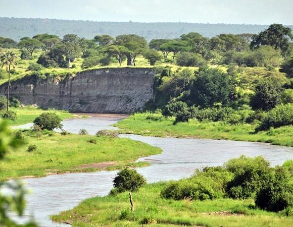 Tanzania Yoga retreat & Kilimanjaro Climbing Retreat