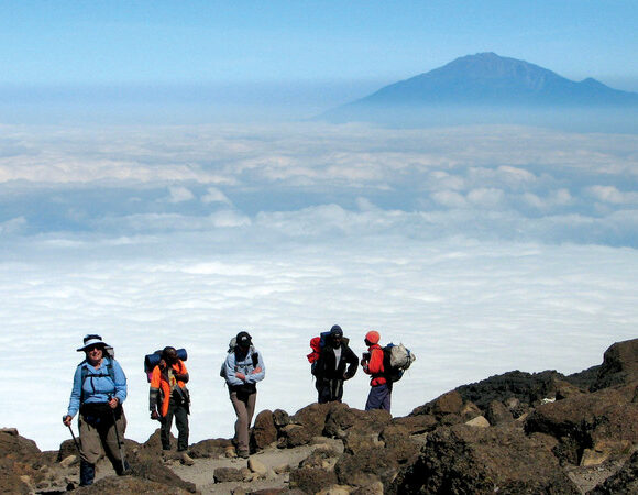 Enjoy 3-15 Day Tanzania Family Safari From any airport, Moshi, Arusha, karatu