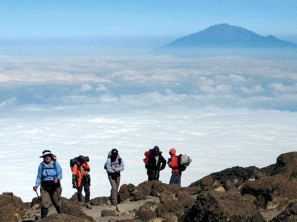 Enjoy 3-15 Day Tanzania Family Safari From any airport, Moshi, Arusha, karatu