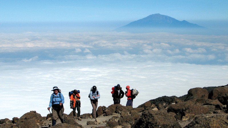 3-15 Day Tanzania Family Safari Tour From any airport, Moshi, Arusha