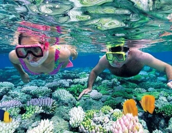 Best Tanzania destination tour from Airport| Dar es salaam| Moshi| Arusha