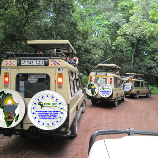TANZANIA RECOMMENDED TOURS: PRIVATE AND GROUP TRAVEL PACKAGE