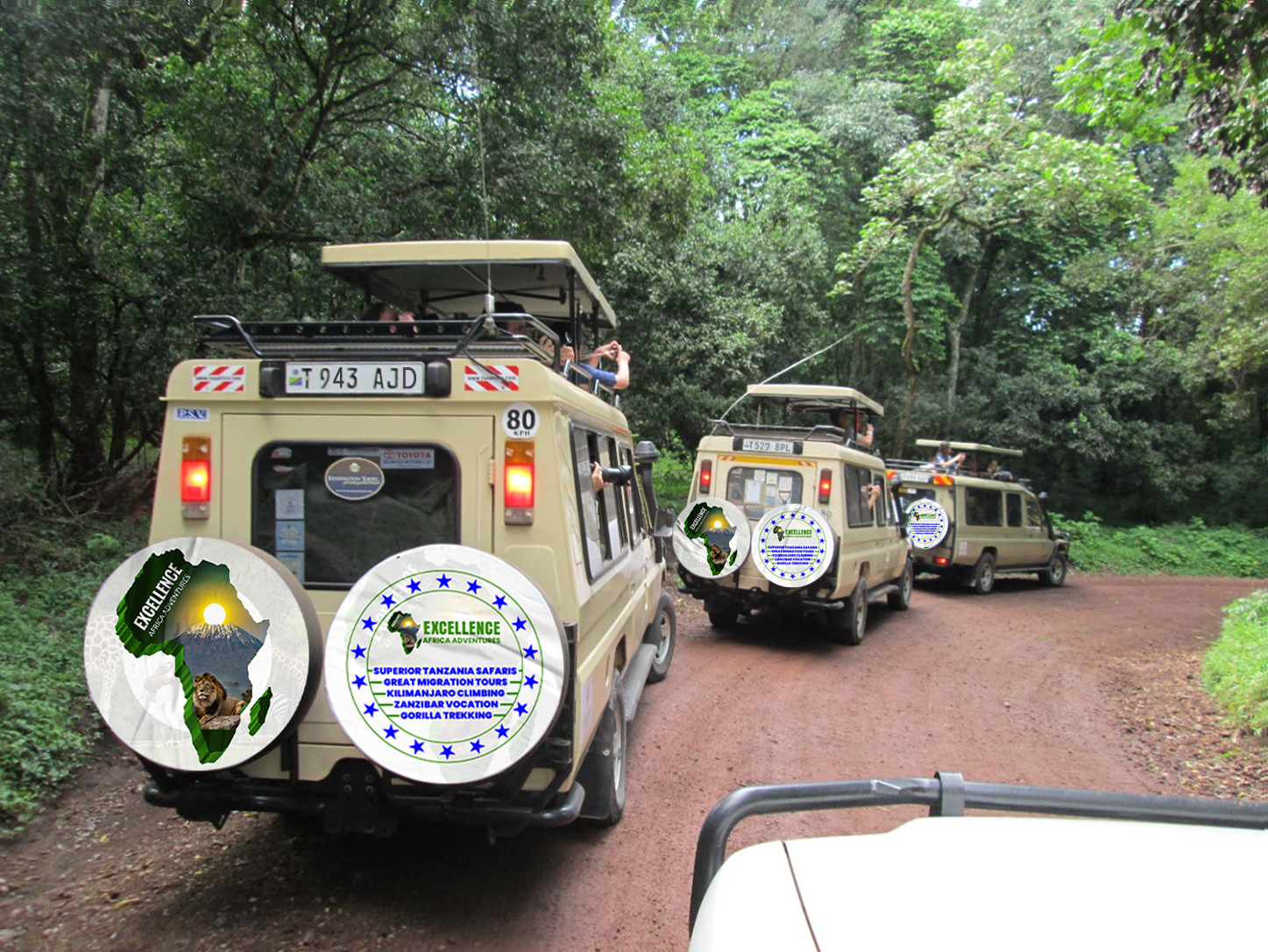 Cultural Experiences