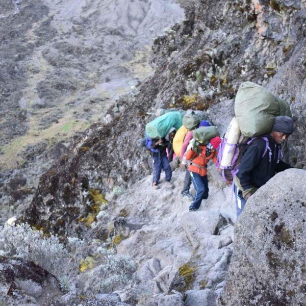 Group of climbers Marangu route climbing