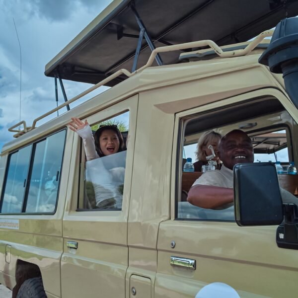 Best Tanzania Wildlife Safari tours