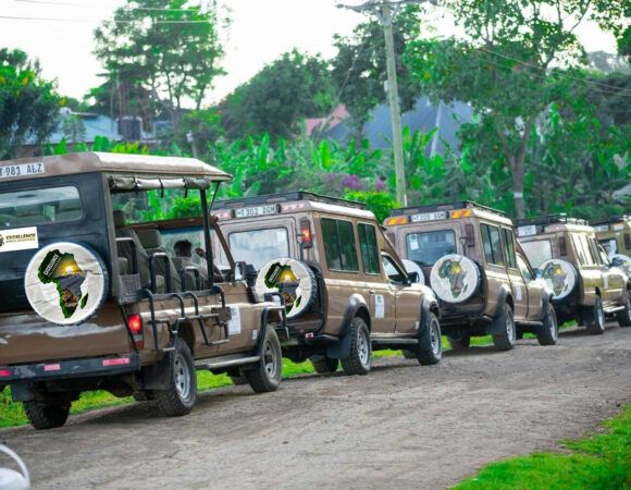 9-Day Classic Tanzania Safari Package: Luxury Wildlife & Cultural Expedition
