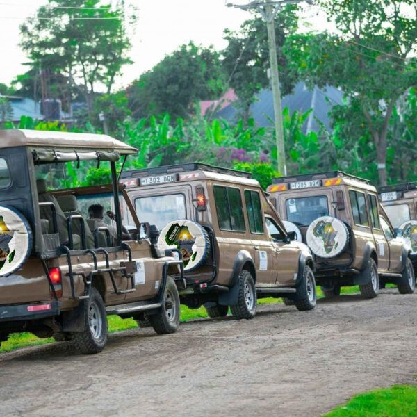9-Day Classic Tanzania Safari Package: Luxury Wildlife & Cultural Expedition