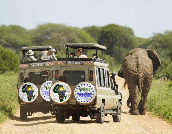 6-Day Kilimanjaro Climb & Tanzania Wildlife Safari
