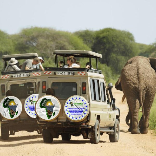 6-Day Kilimanjaro Climb & Tanzania Wildlife Safari