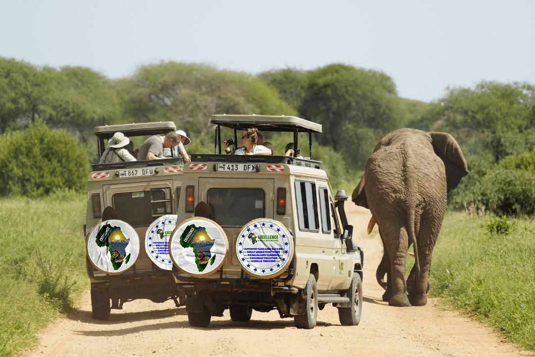 grrr - EXCELLENCE AFRICA ADVENTURES - EXCELLENCE AFRICA ADVENTURES two safari jeeps on a dusty road with excellence africa adventures
