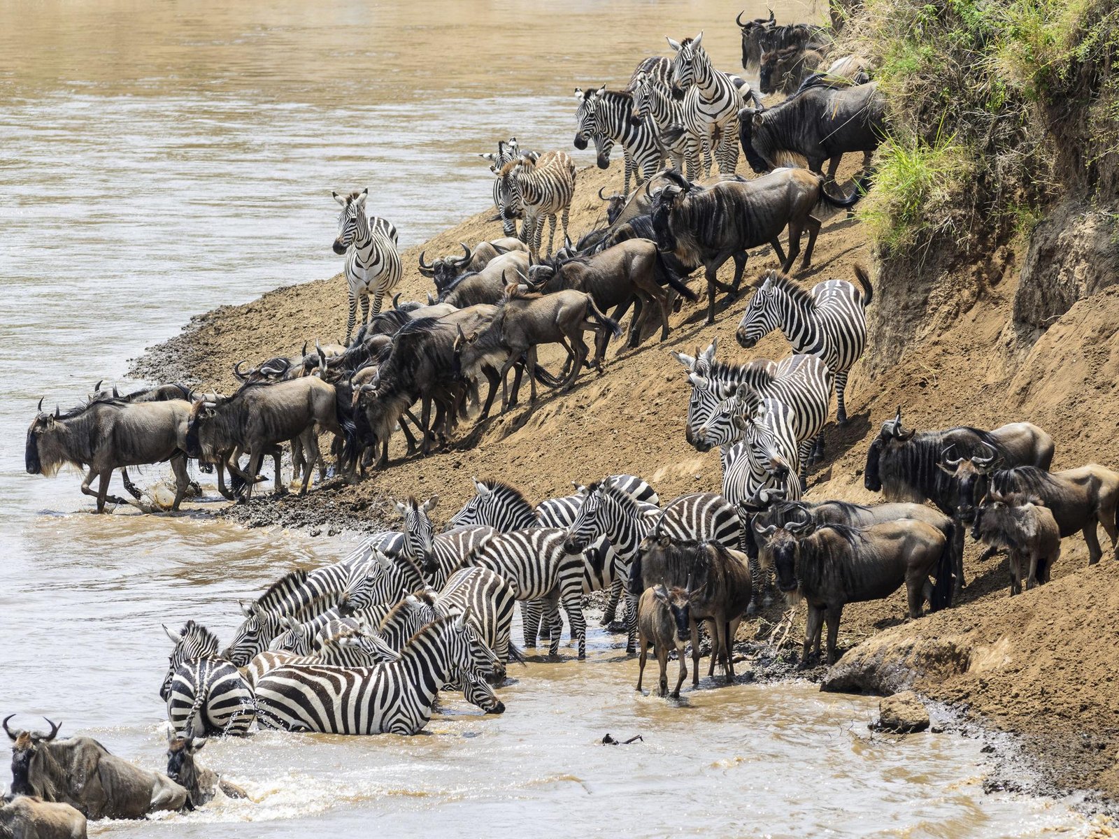 12 Day Serengeti, Ngorongoro, Tarangire & Zanzibar Tour