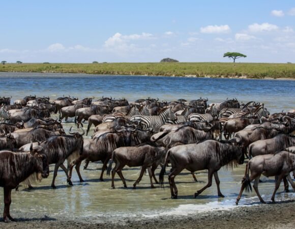 Most Best Tanzania Destinations Tour & Packages