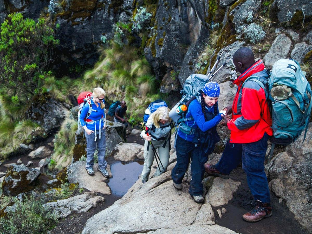 All Mount Kilimanjaro climbing Packages