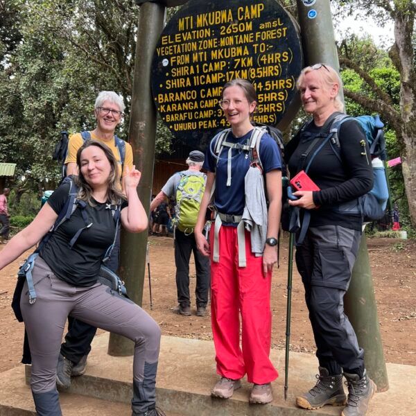 8-Day Lemosho Route Kilimanjaro climbing With Pick up