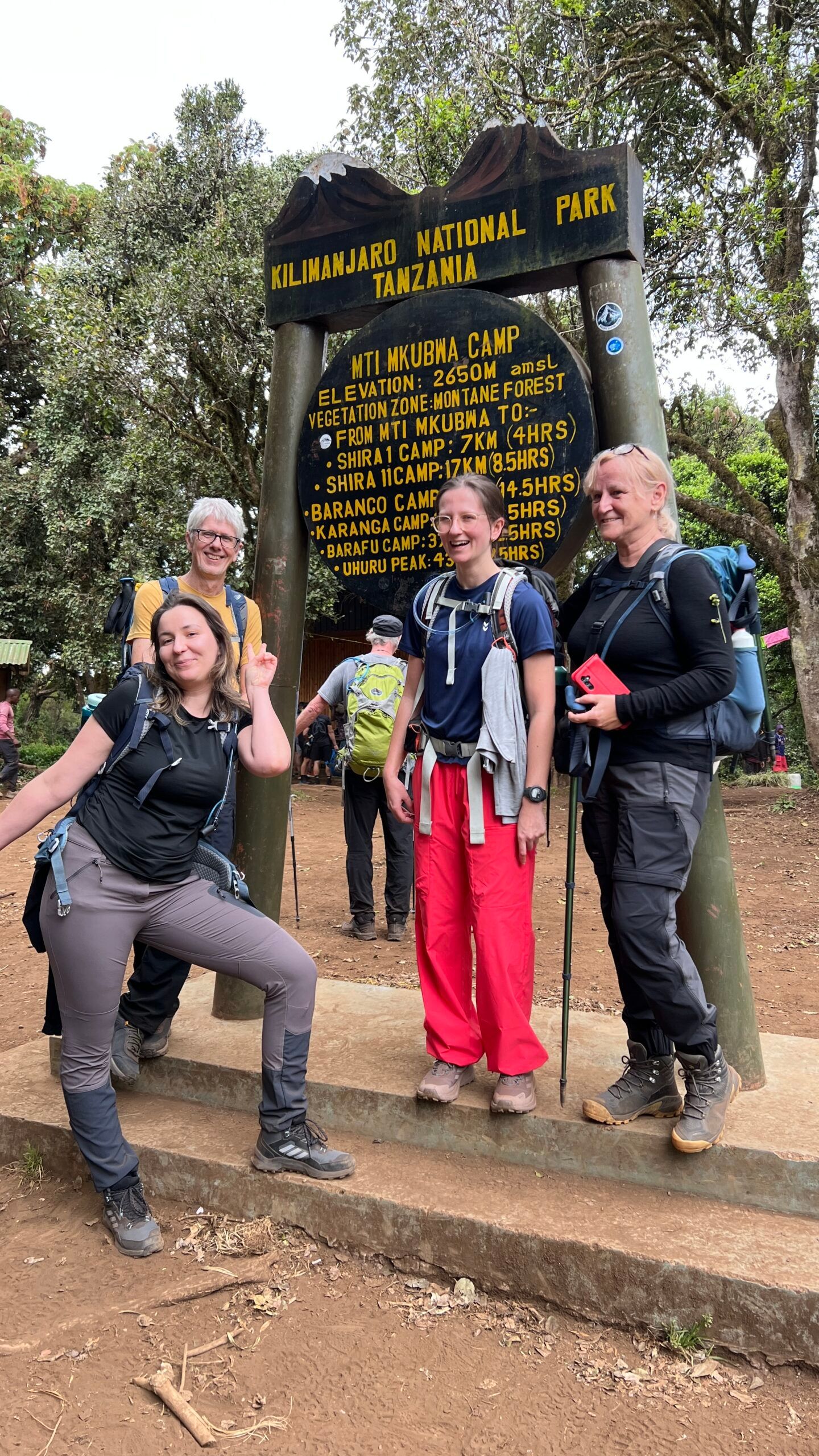 8 Day Kilimanjaro Trekking, Lemosho Route 
