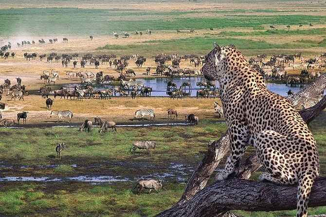 All Exotic Tanzania Safari & Travel Packages