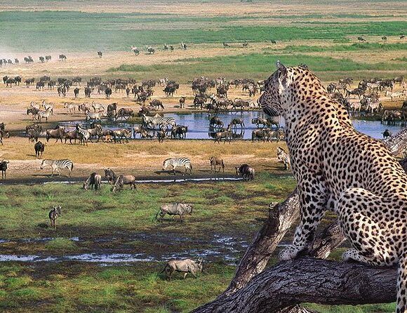From 7- 20 Day Tanzania Ultimate Group Safari, Kilimanjaro trek & Zanzibar Travel