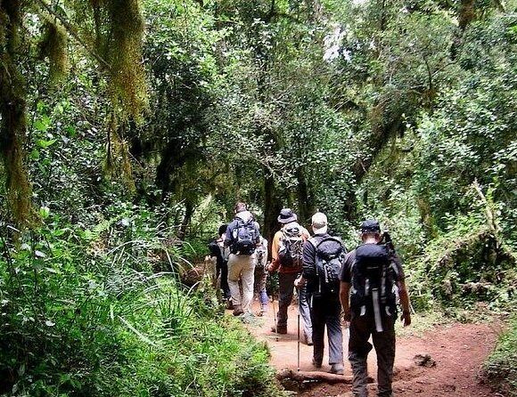 A Full-Day Tour to Chemka Hot Springs and coffee tour