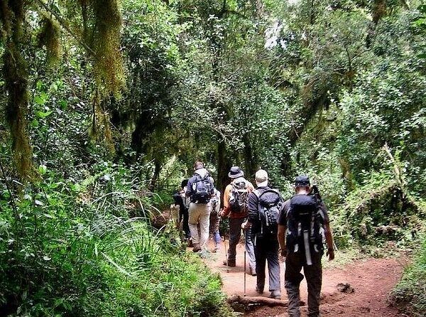 A Full-Day Tour to Chemka Hot Springs and coffee tour