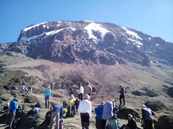 image_downloader_1788381129077 - EXCELLENCE AFRICA ADVENTURES group of hikers on mount kilimanjaro