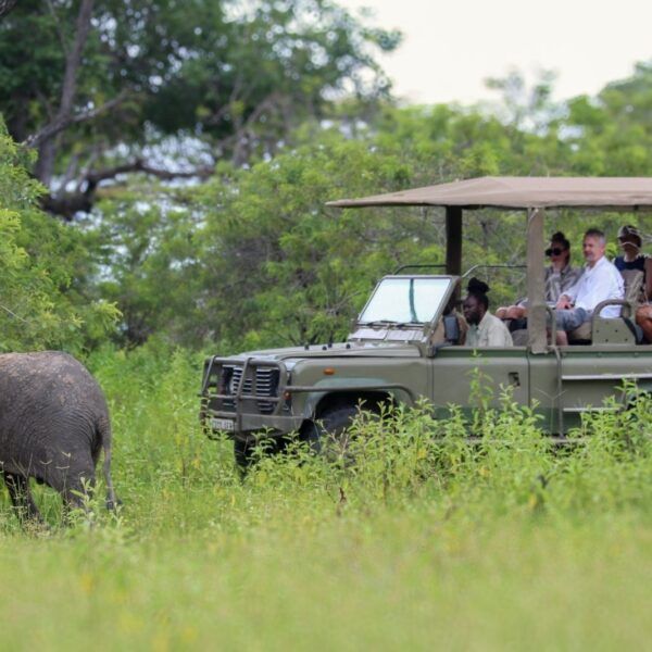 pHOTOHRAPHIC tANZANIA SAFARI