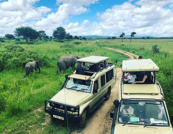 7-Day Luxury Tanzania Safari – Privately Organized for Groups from the USA