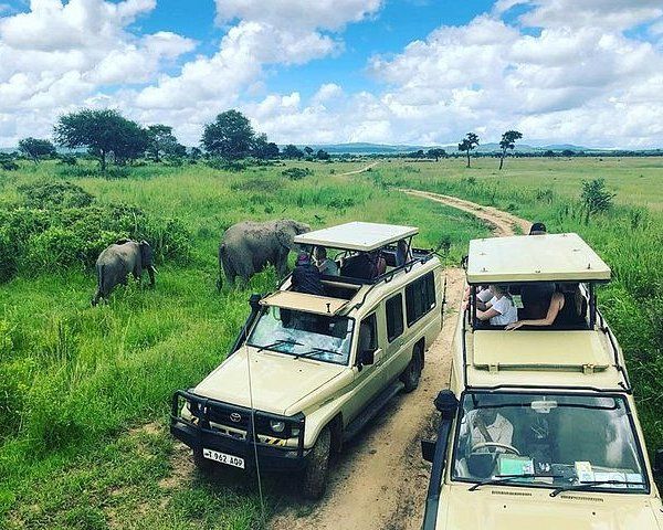 All Luxurious Safari packages