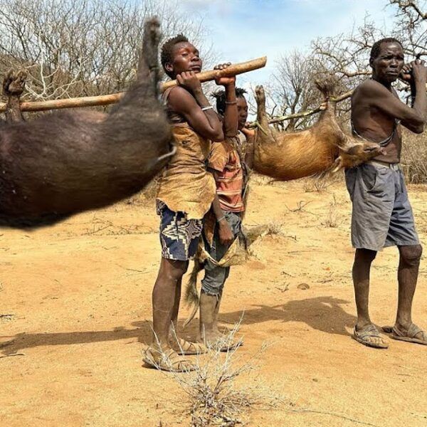 Hadzabe hunters in a dry savanna, carrying a large game animal on a wooden pole while others stand nearby in loincloths and sandals.