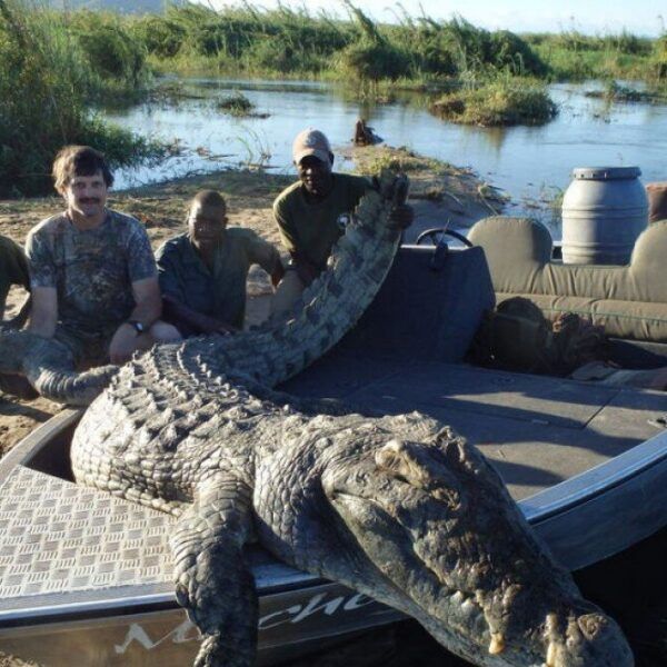 Chrockdile hunting safari
