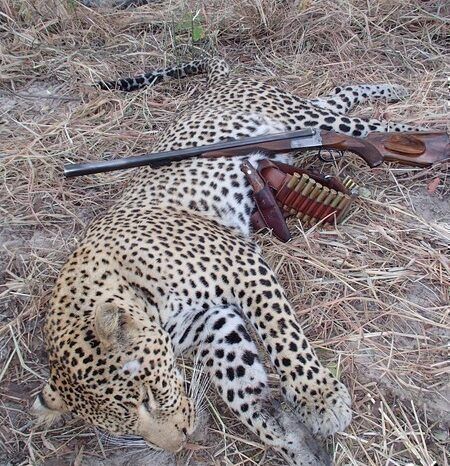 image_downloader_1789022816678 - EXCELLENCE AFRICA ADVENTURES tanzania hunting adventures