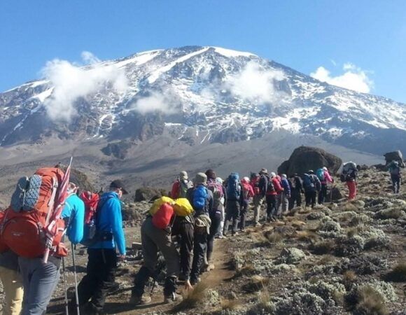 8-Day Kilimanjaro Climbing – Lemosho Route itinerary