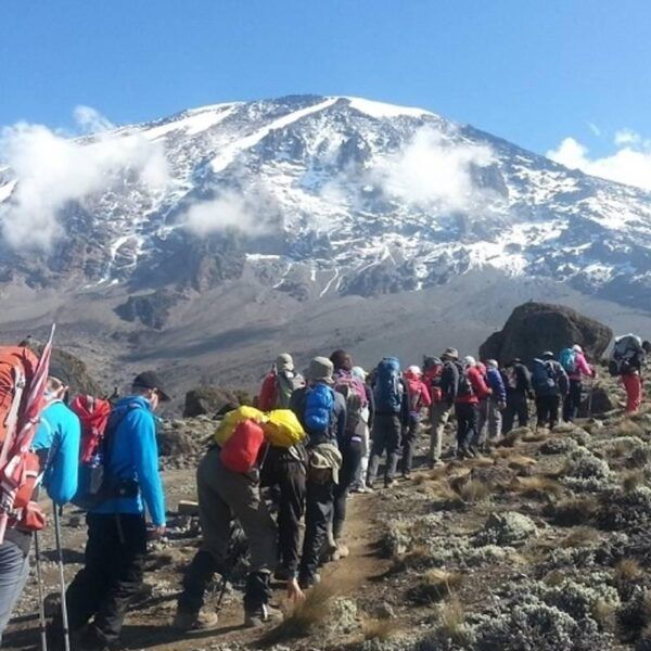 8-Day Kilimanjaro Climbing – Lemosho Route itinerary